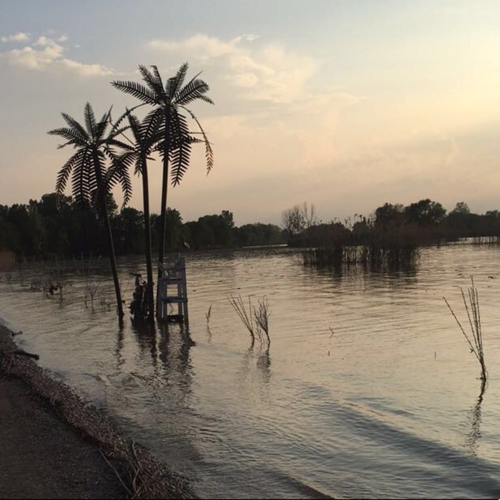 Meet your Posher, Morgyn